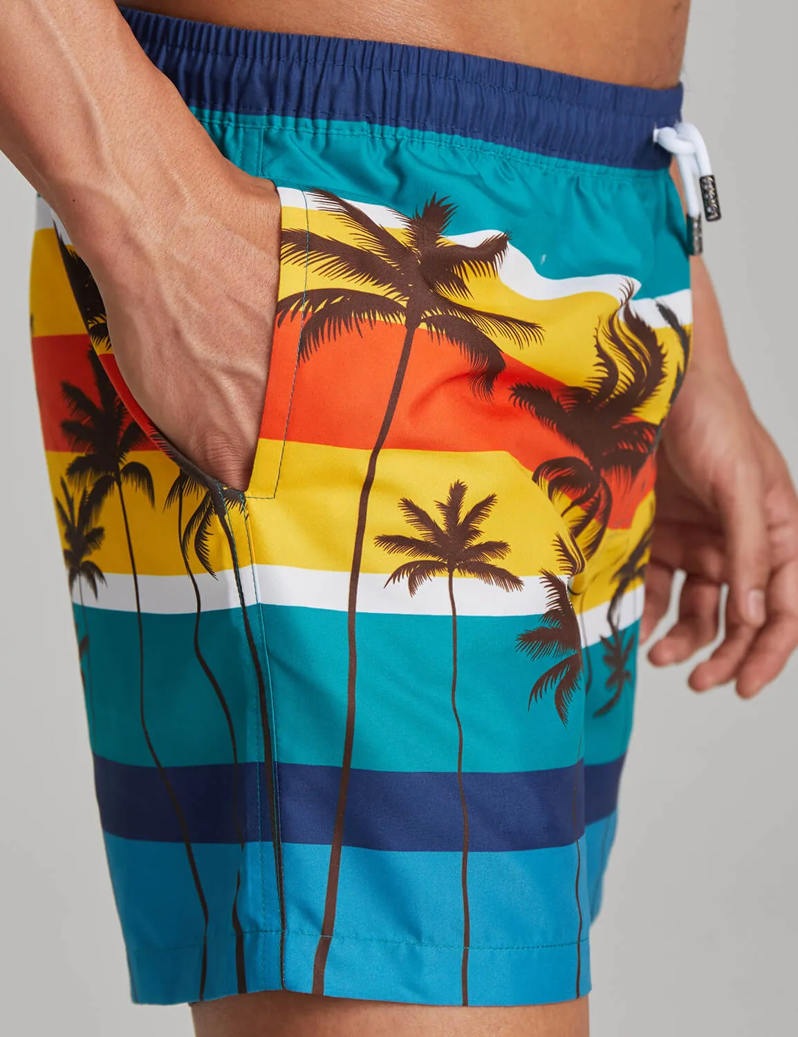 Color Bar Swim Shorts 221303