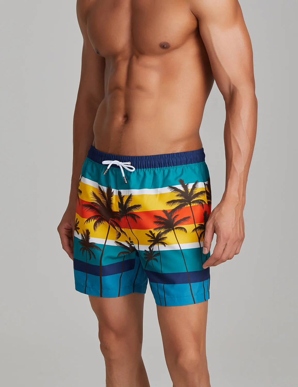 Color Bar Swim Shorts 221303