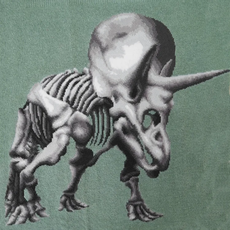 Dinosaurs - Triceratops