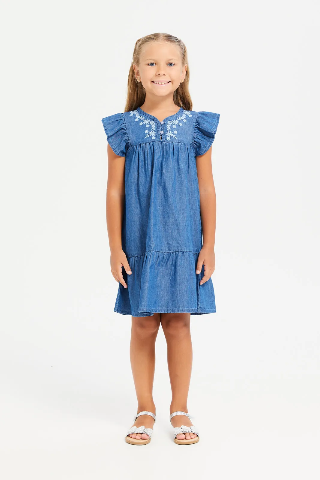 Girls Blue Denim Embroidered Dress