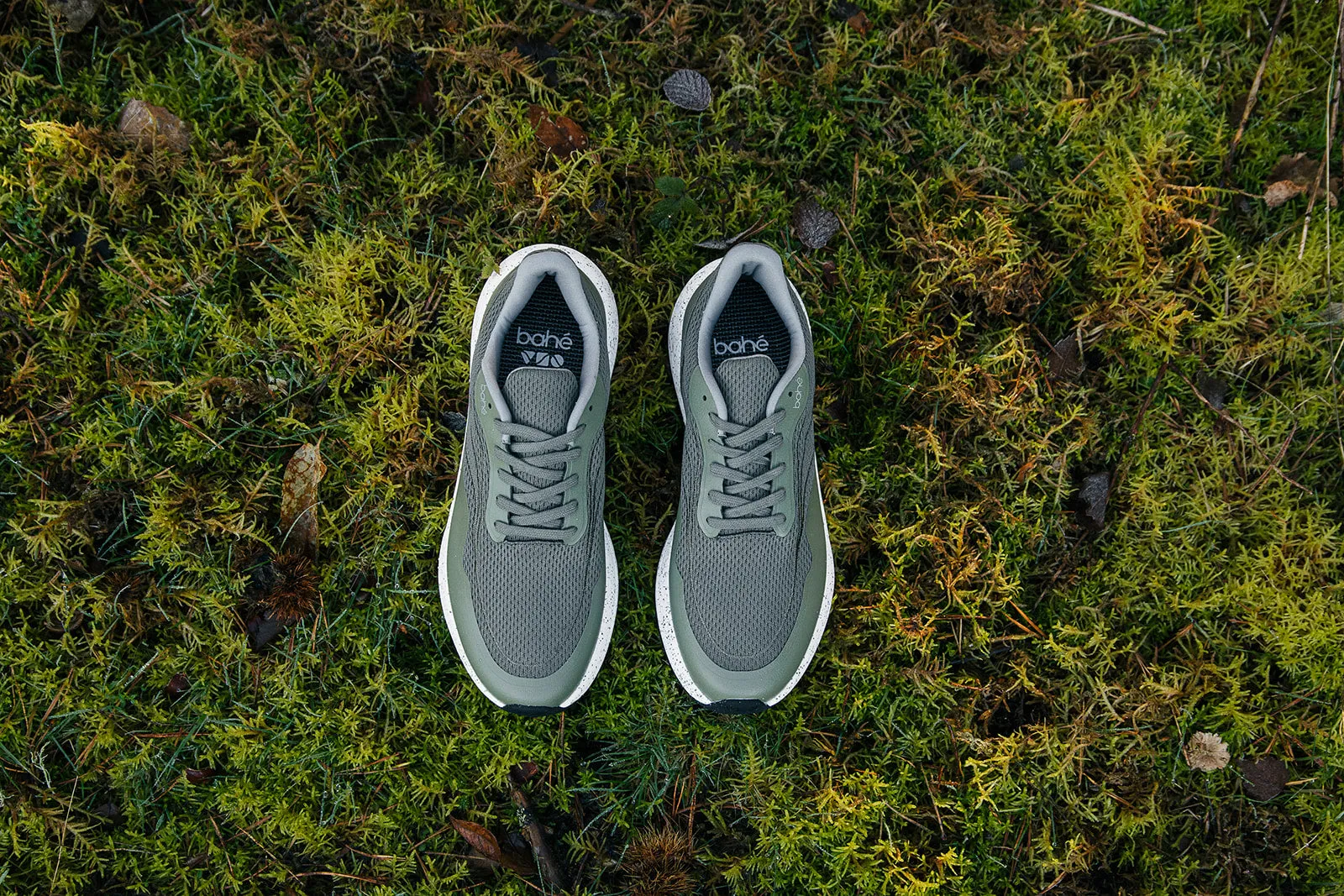 Recharge Grounding shoe (Women's) - Forest