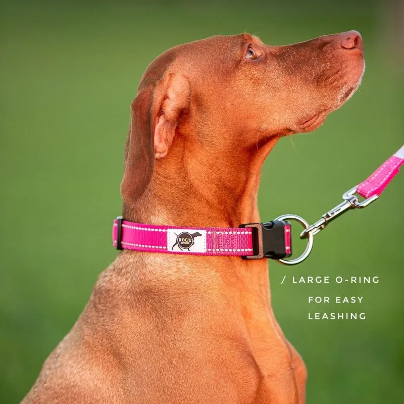 Trailhead Padded Dog Collar